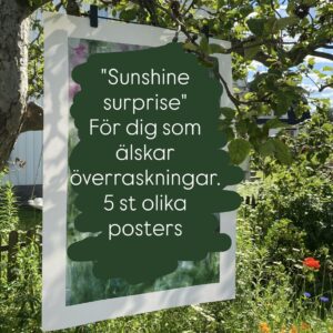 Sunshine surprise