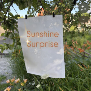 Sunshine surprise